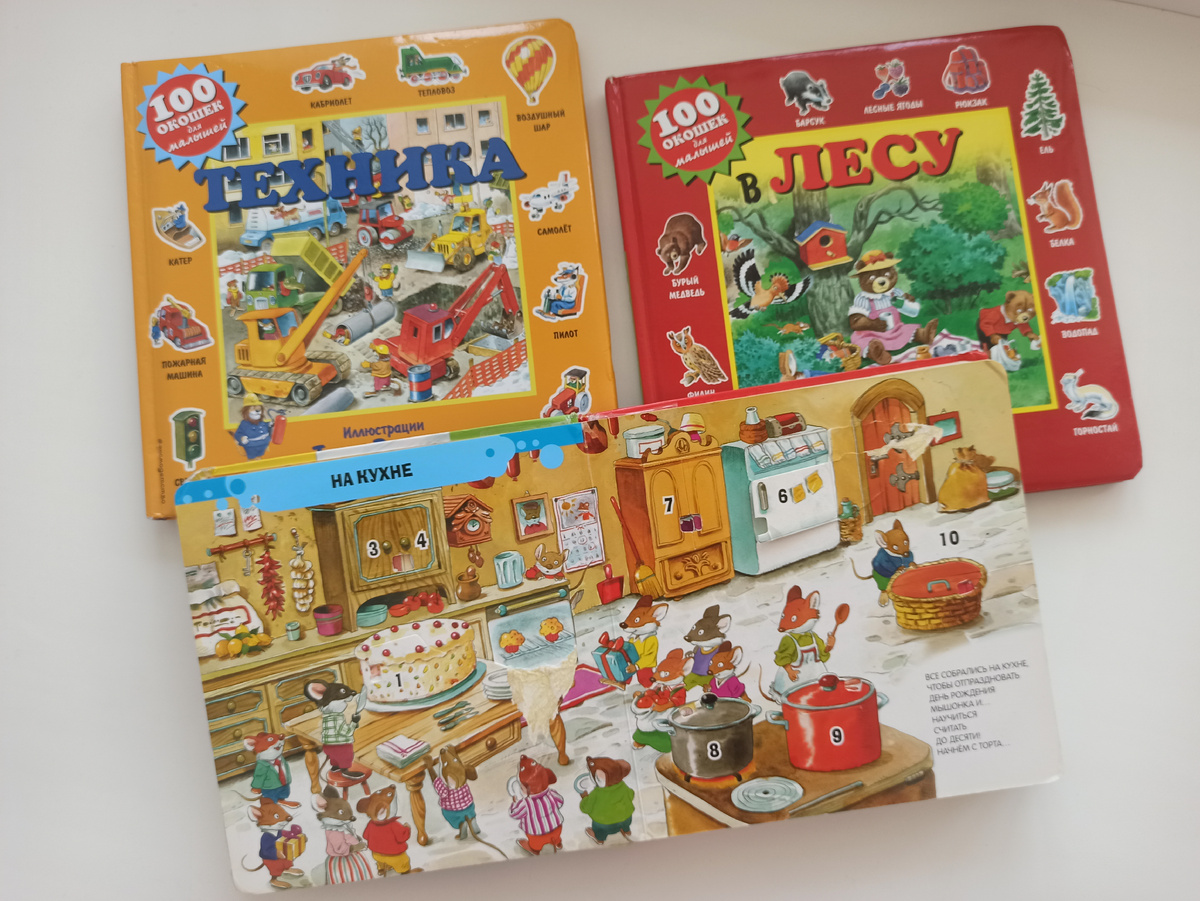 книжки с окошками