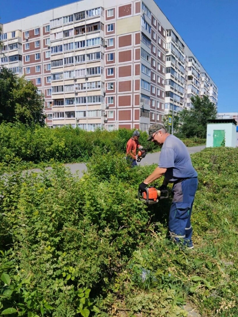    Фото: Городской центр по благоустройству и озеленению, Ульяновск