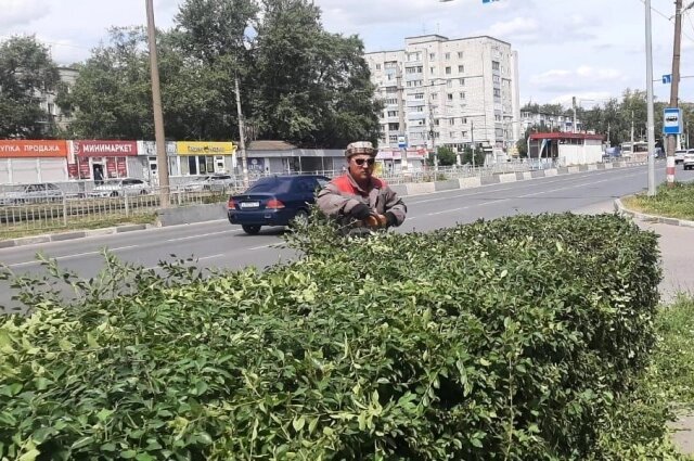    Фото: Городской центр по благоустройству и озеленению, Ульяновск