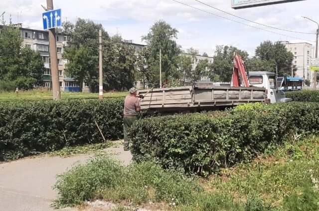    Фото: Городской центр по благоустройству и озеленению, Ульяновск