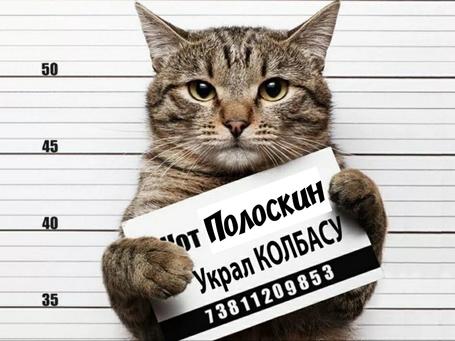 Источник: Яндекс картинки