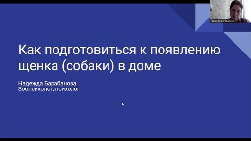 Как ответственно подготовиться к появлению в доме щенка или собаки? Какие есть методы воспитания?