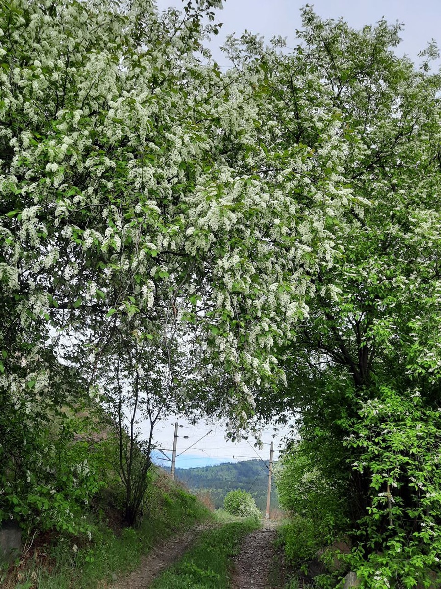 Фото автора