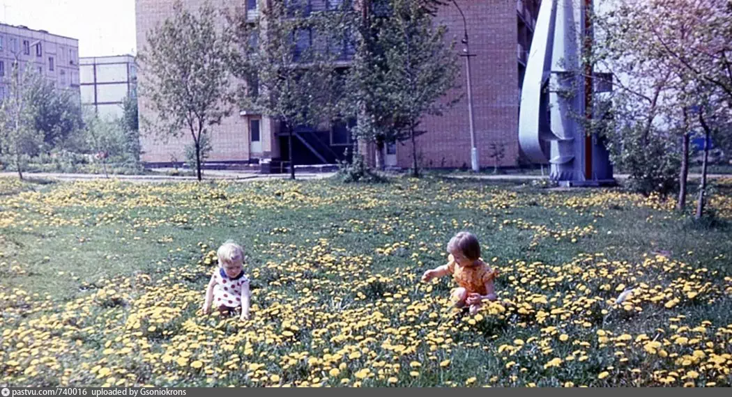 май 1979 год