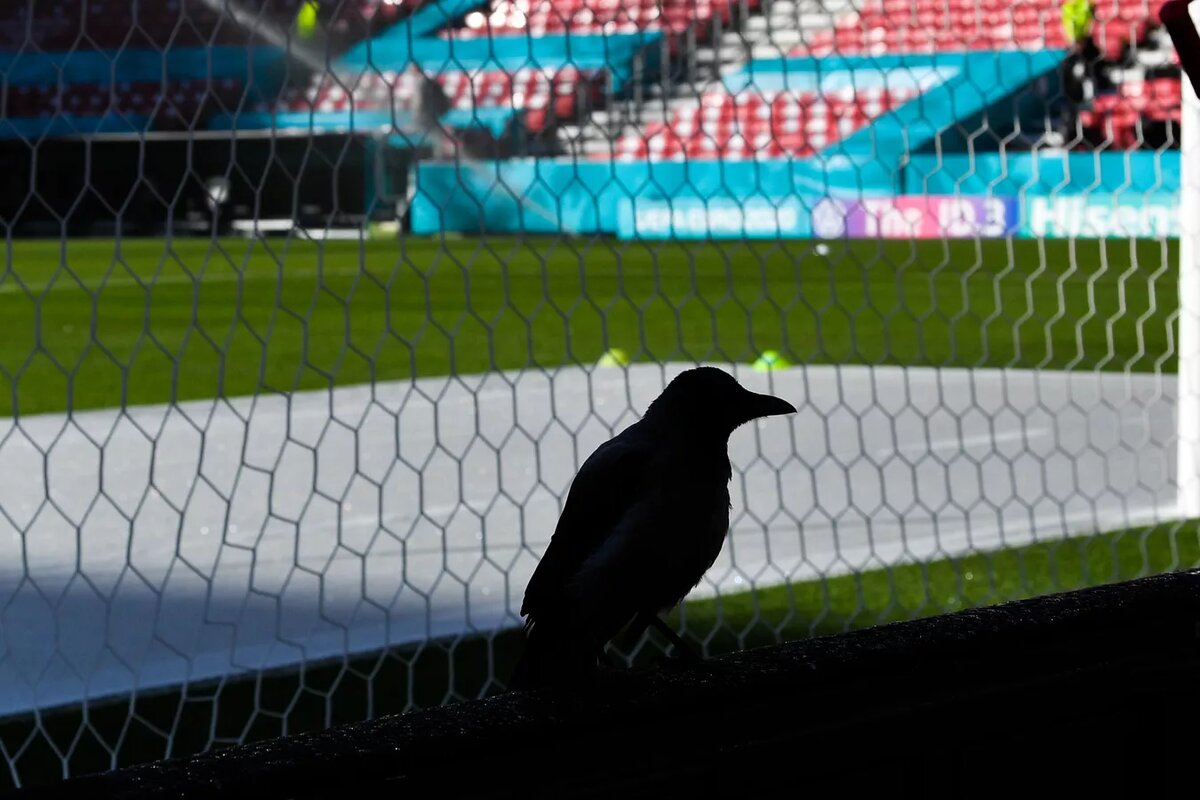 © Sputnik / Владимир Песня