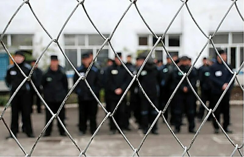 Проект уголовной амнистии в 2024 году. Освобождение из колонии. Амнистия картинки. Амнистия 2022. Амнистия последние новости.