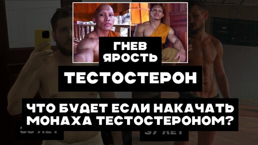 🔥Тестостерон, гнев и ярость. Что будет если 