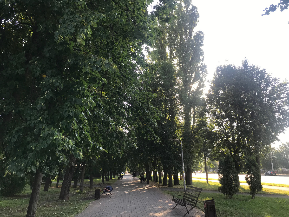 09 июля 2024 18:12 Гагаринский сквер на ул. Гагарина