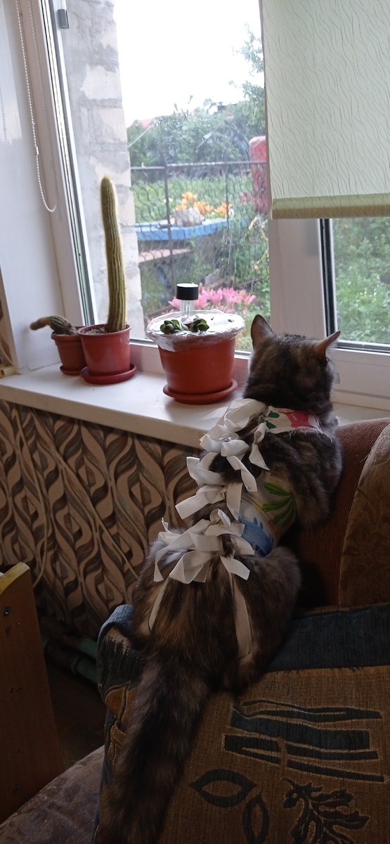 P.S клиника прайд в Челябинске