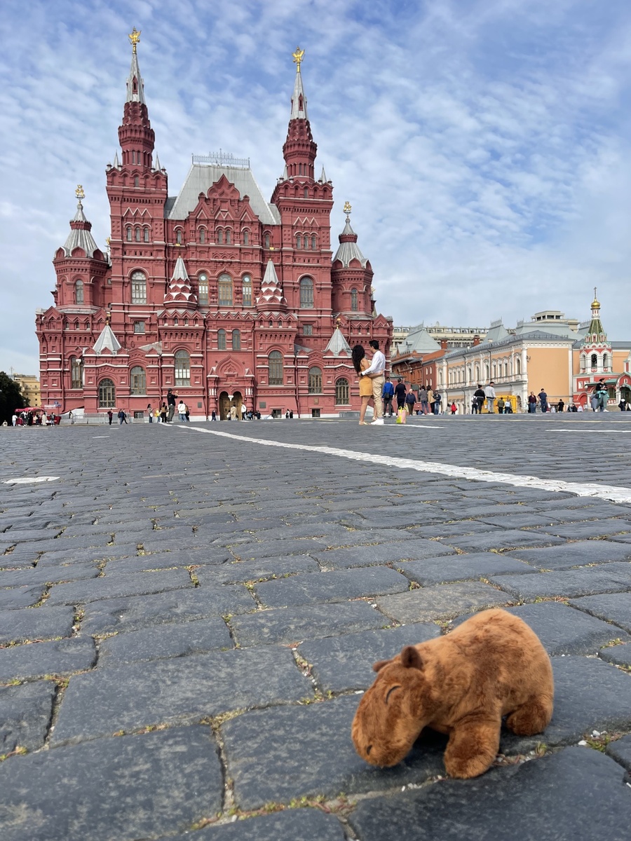 Папич улетел в дубай