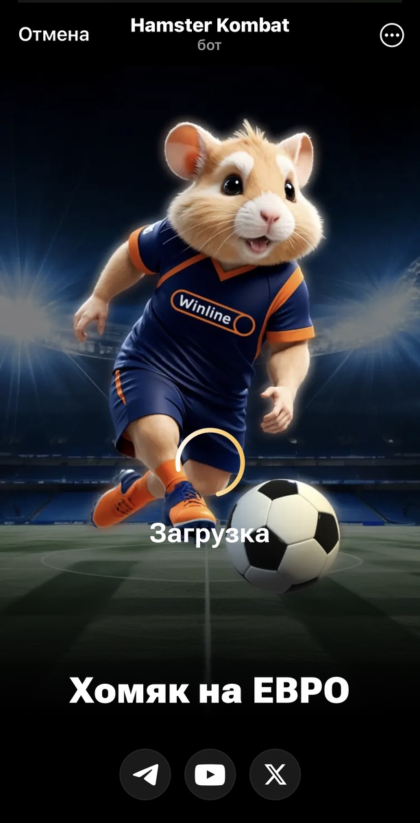 Взято из:Hamster Combat