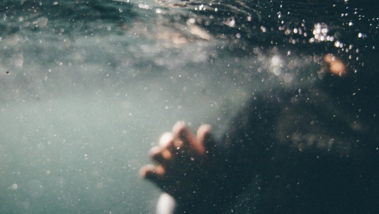    Фото: pxhere.com Екатерина Шахнина