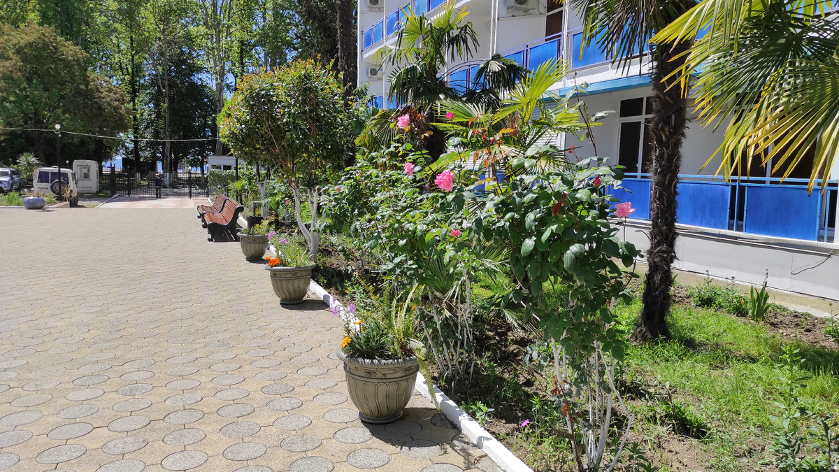 Гостеприимная Абхазия дорожает. Фото: Кирилл Полиенко/Polienko: путешествуем вдвоём