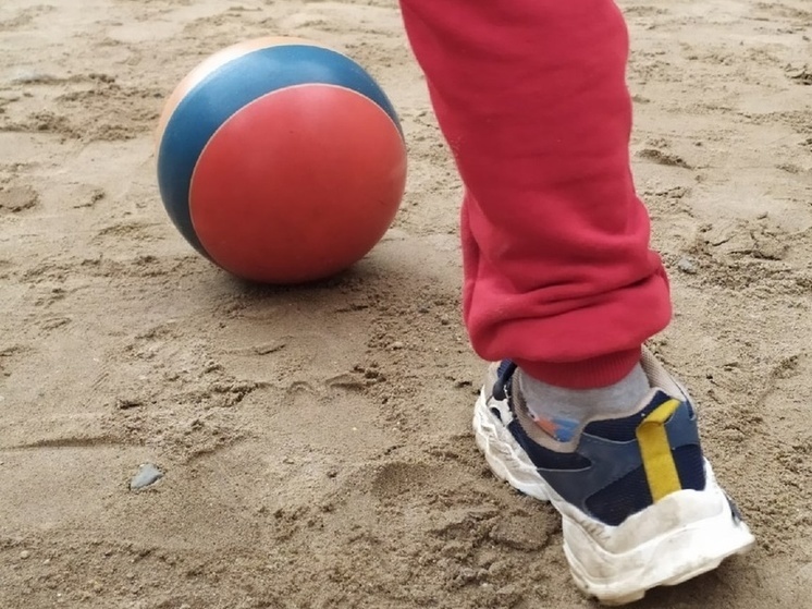     Фото: МК в Вологде.