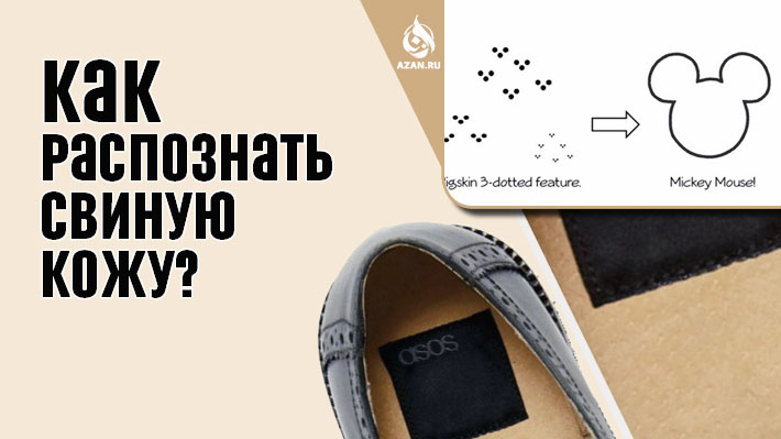 Троеточие свиной кожи напоминают силуэт Микки Мауса. Источник фото: azan.ru