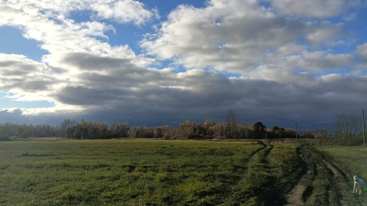 Наши просторы 