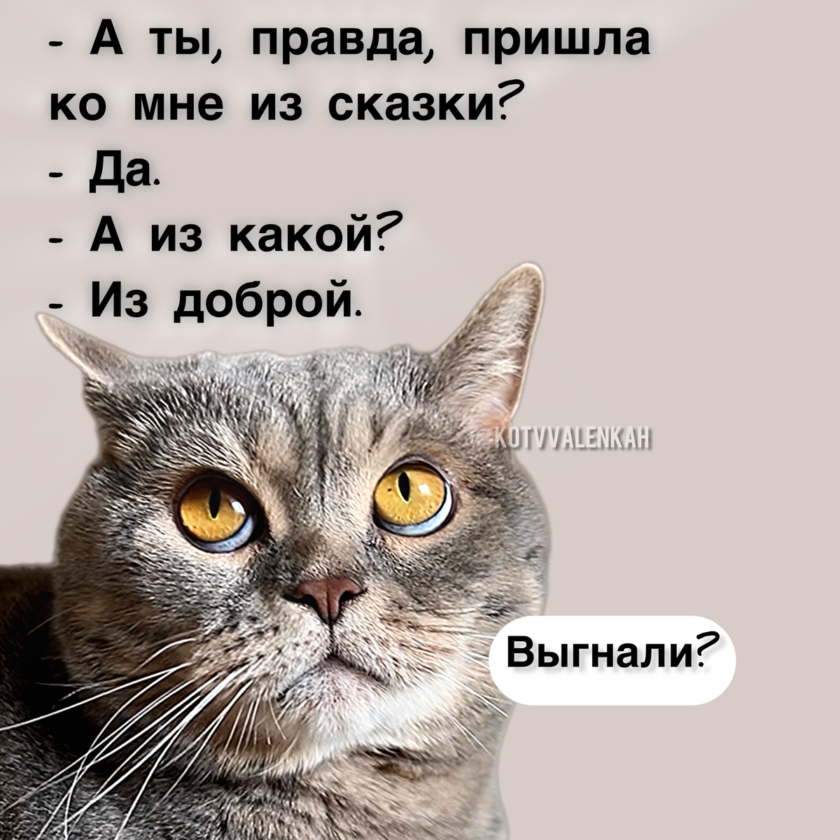 -11