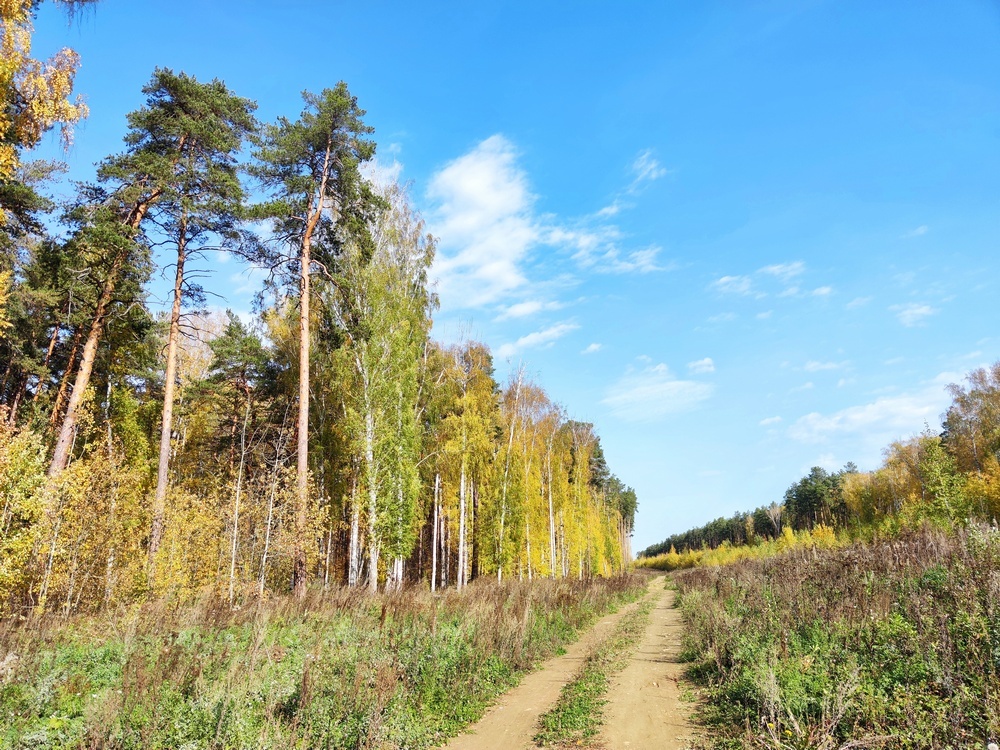 Природная тишь, гладь да благодать мне ближе, чем шумные мероприятия