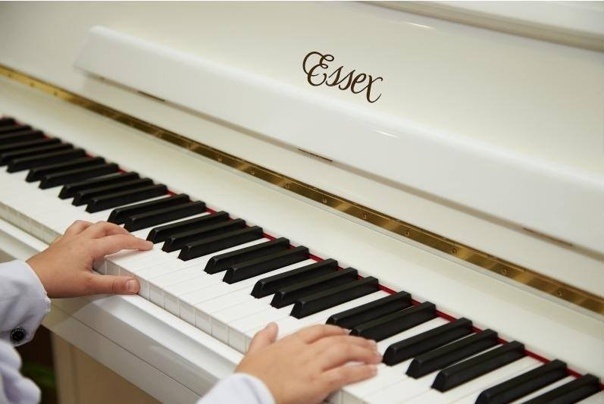 Фото взято из открытых источников