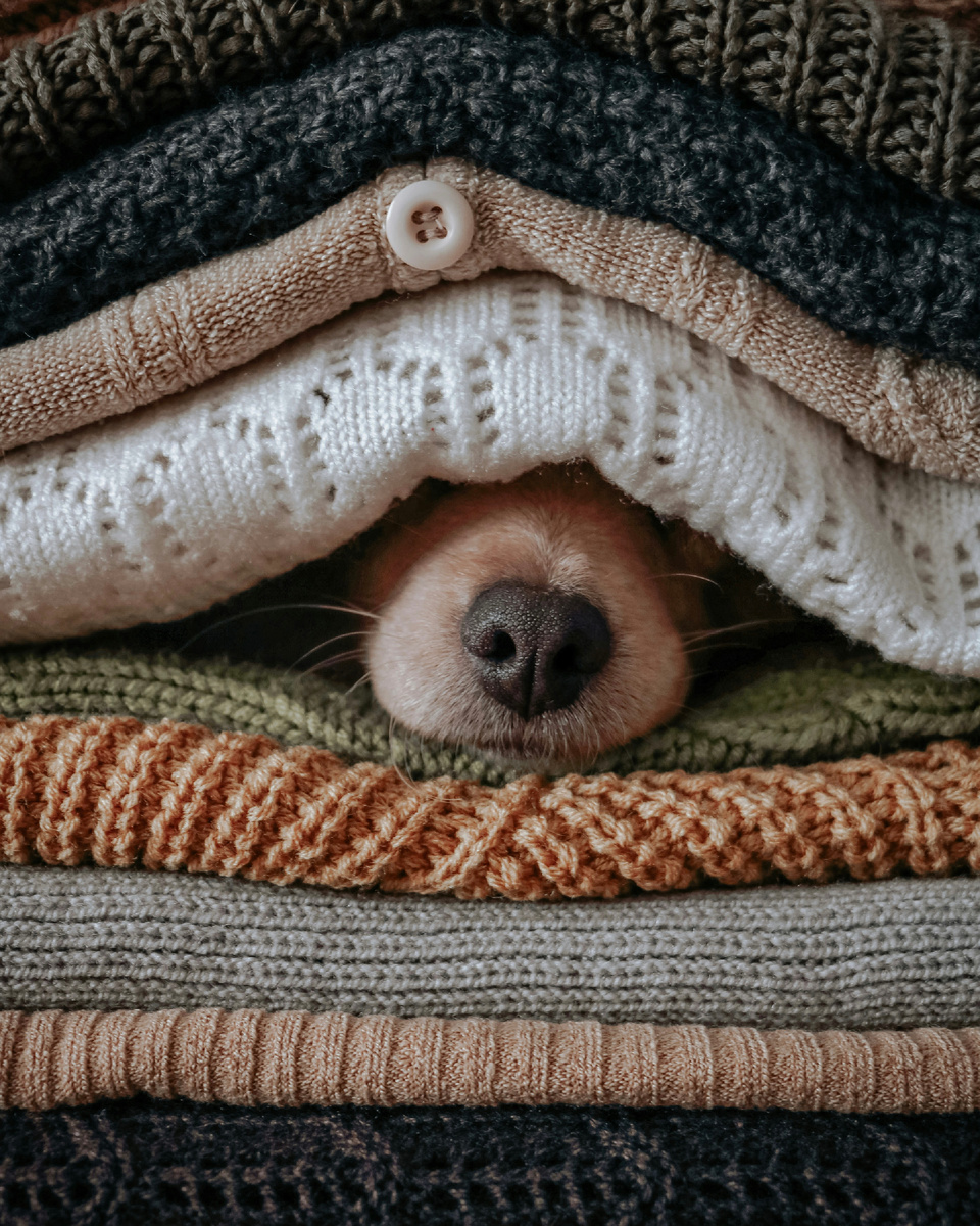 Фото Sdf Ruhbar (Unsplash)