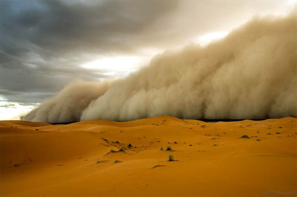    Пыль из Сахары добралась до США. Источник фото: scientificrussia.ru