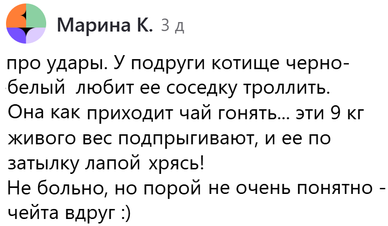 Продолжаю публиковать Ваши смешные комментарии к моим статьям, дорогие читатели! Смеюсь сама - и Вам того желаю.😁 Вороны, да, эти могут! Да и коты - те еще тролли!😊 Вот что нашла: Сама бы испугалась.-2