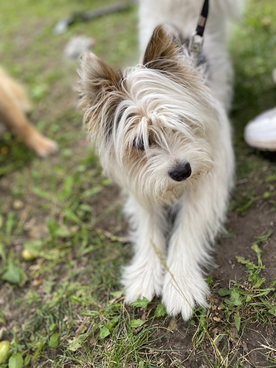 Приятно познакомиться