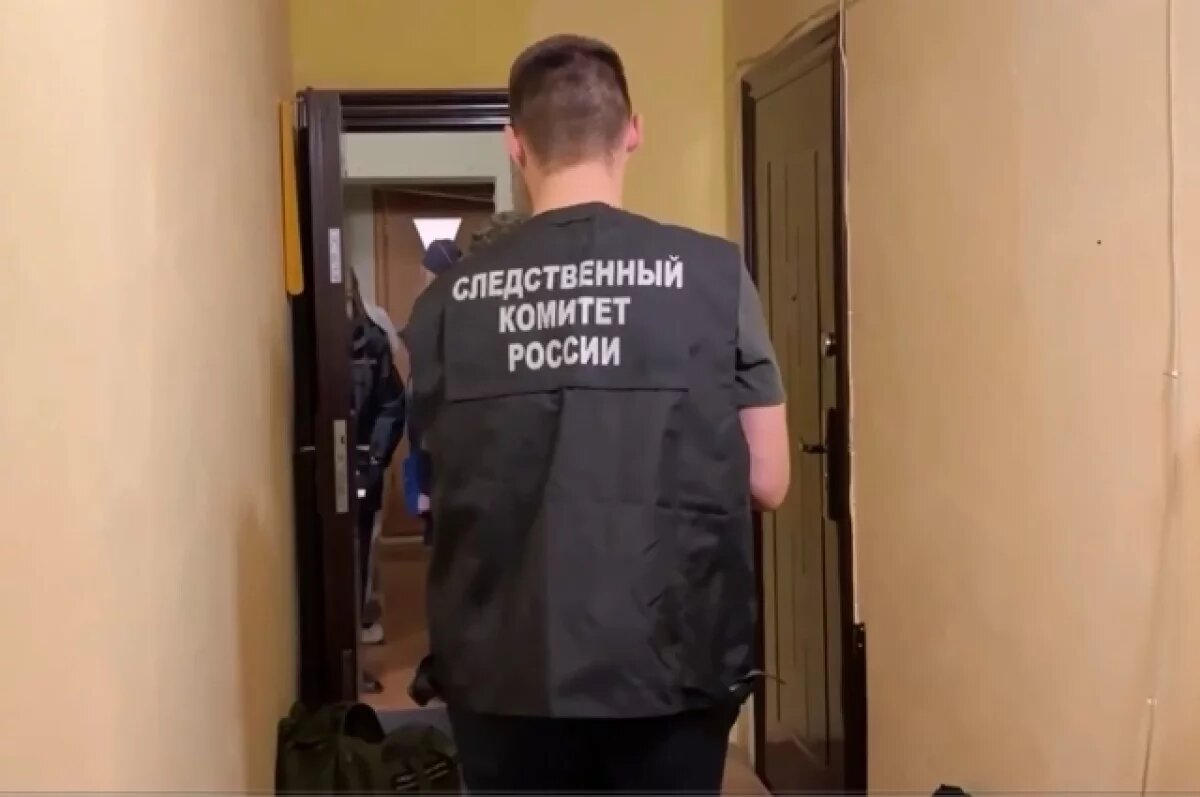    Мать, подозреваемая в убийстве найденного в чемодане ребёнка, задержана