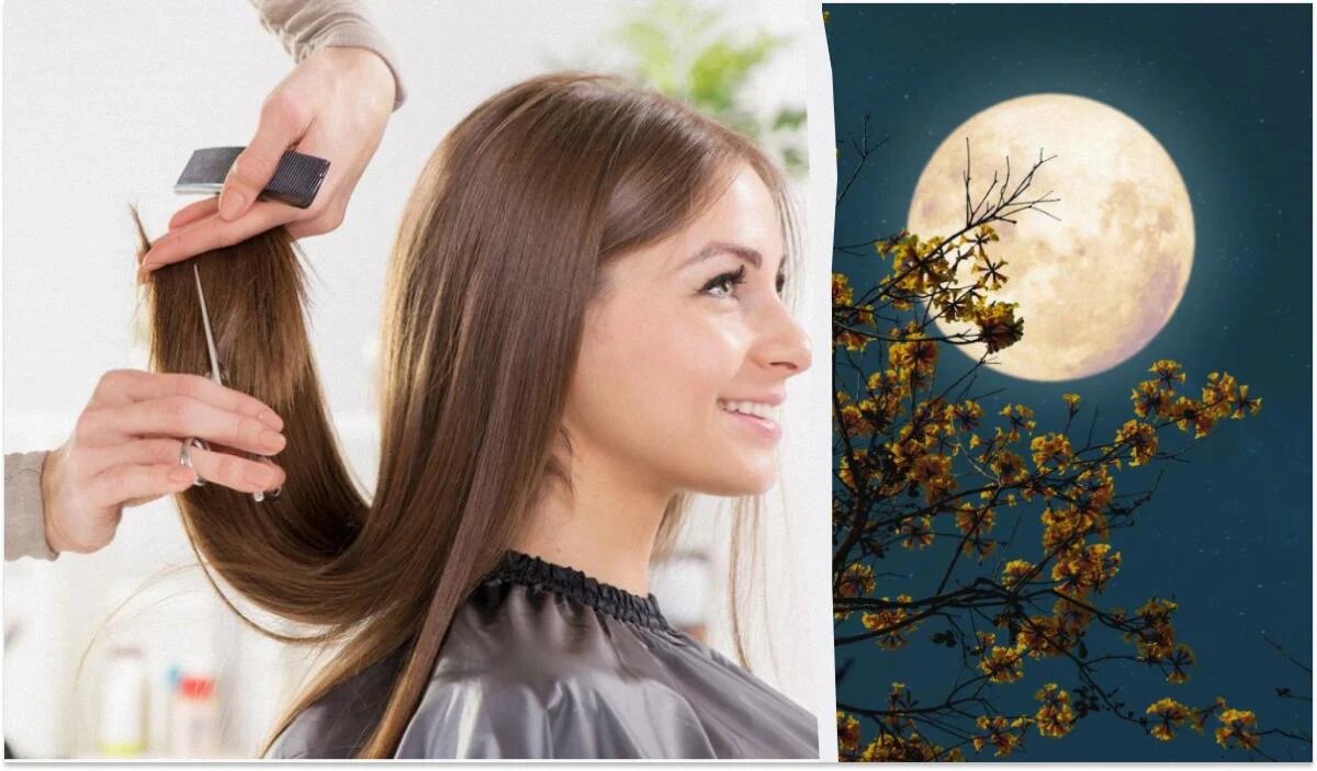 Календарь стрижек назовет лучшие дни для окрашивания и стрижки волос в июле. Летом многим людям хочется обновить внешний вид или сделать короткую  стрижку.