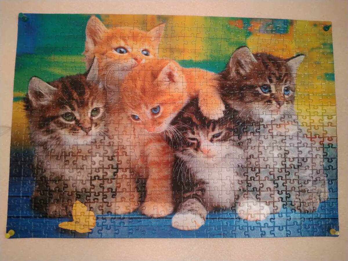 Вот такие котики