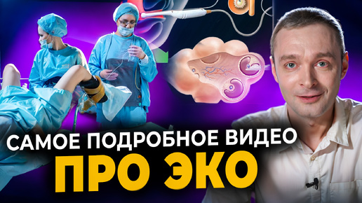 Как проходит ЭКО. Все этапы в одном видео: стимуляция овуляции, пункция фоликулов, перенос эмбрионов