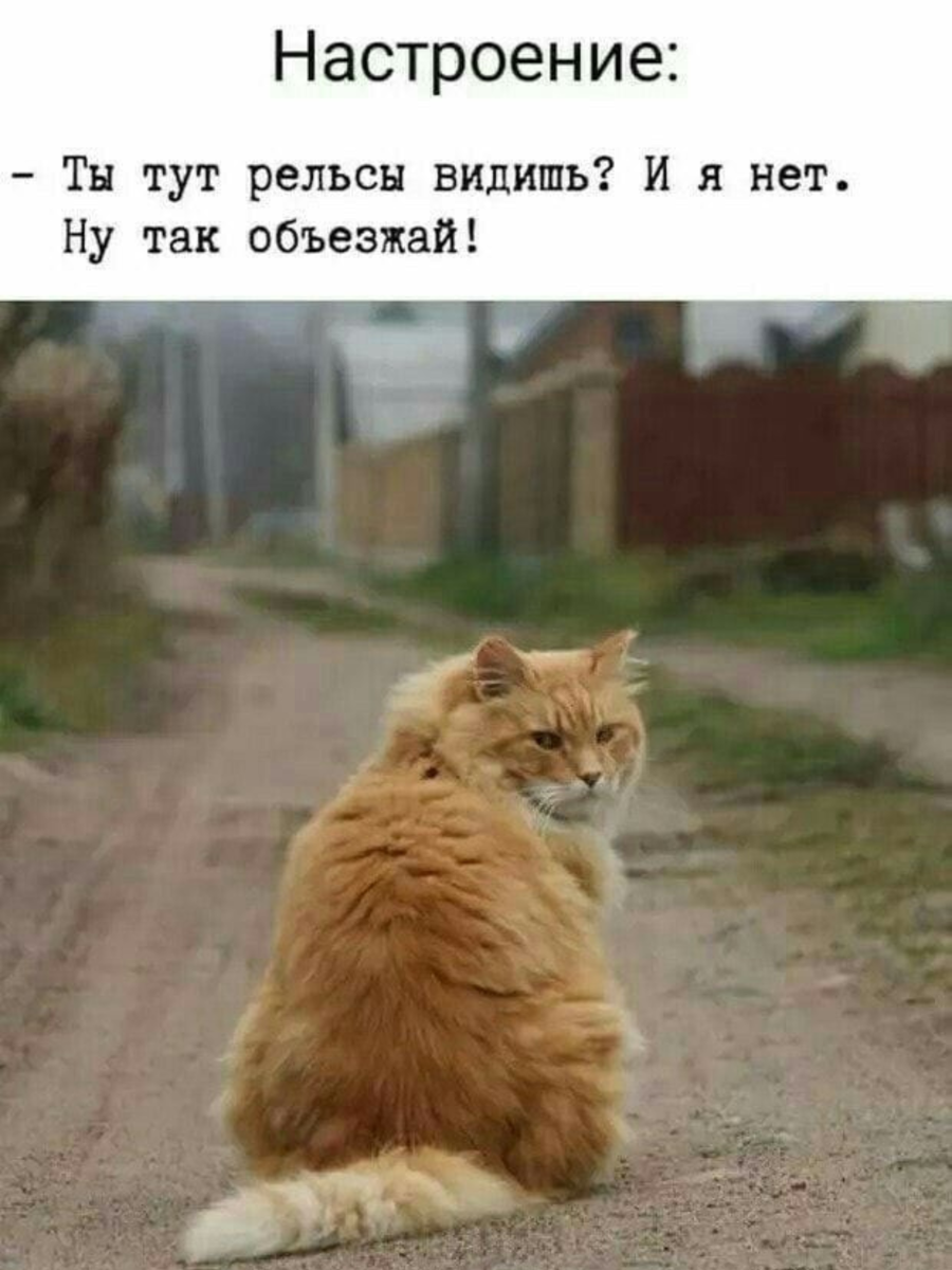 ���� ����� �� ���������.