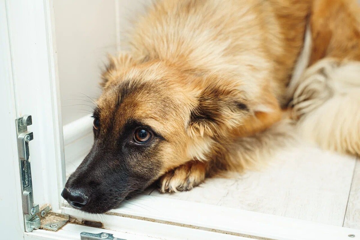  Добрым и отзывчивым быть ОЧЕНЬ ДОРОГО И НЕ ЛЕГКО
