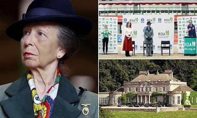 Коллаж фото Daily Mail 