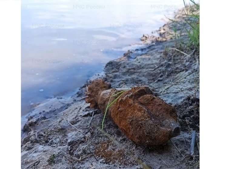     Фото: МЧС по Калужской области