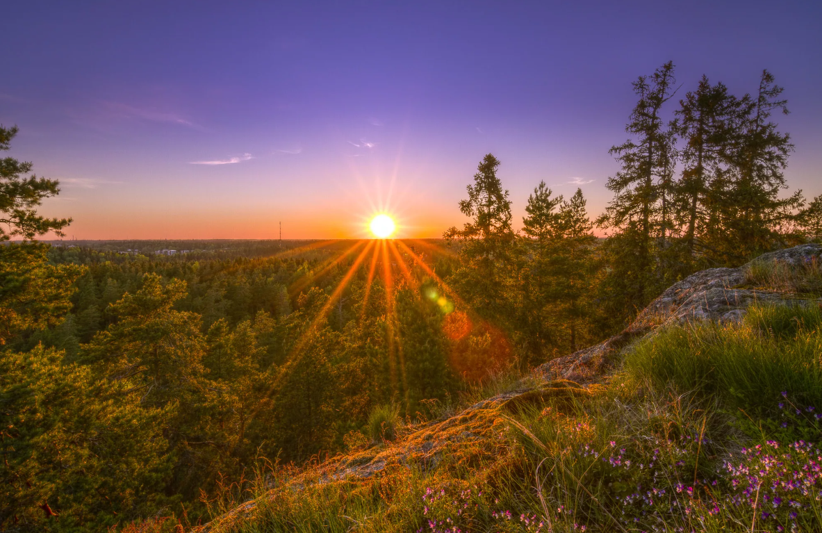 Яндекс картинки