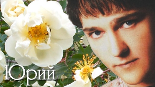 ЮРИЙ ШАТУНОВ - БЕЛЫЕ РОЗЫ 💐💐💐