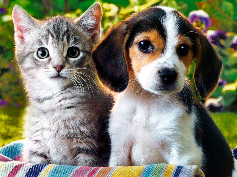 Важный «инструмент».