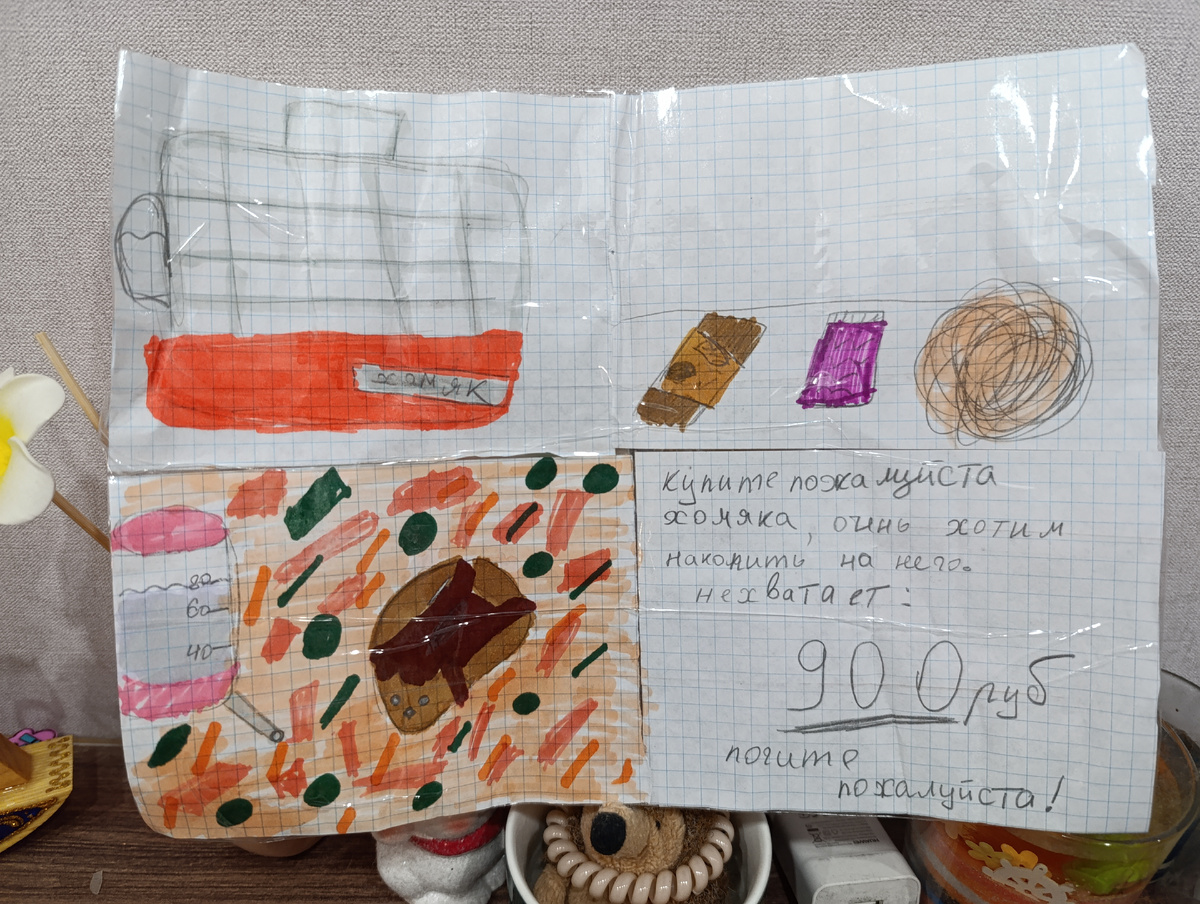 "подайте на домики для бездомных поросят"