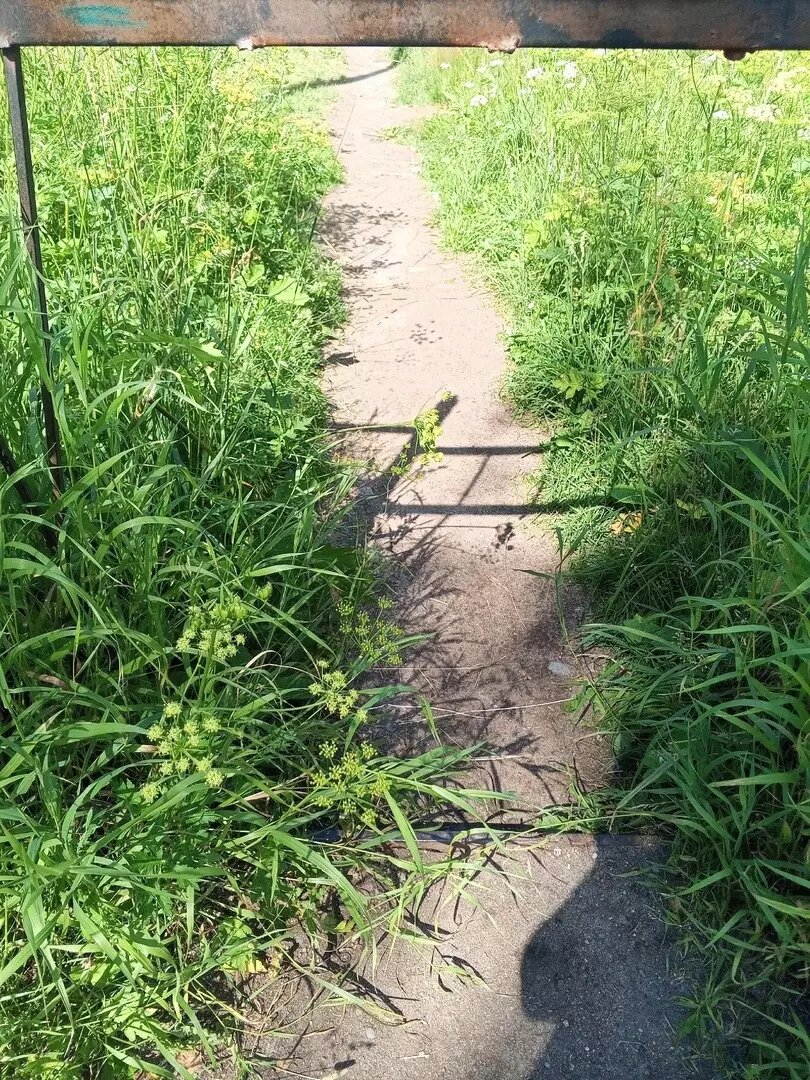     Источник: https://vk.com/my_petrz