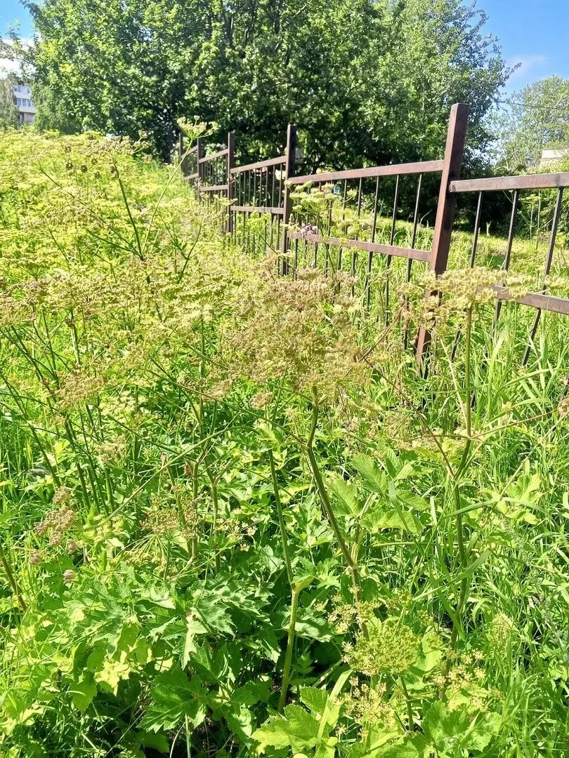     Источник: https://vk.com/my_petrz