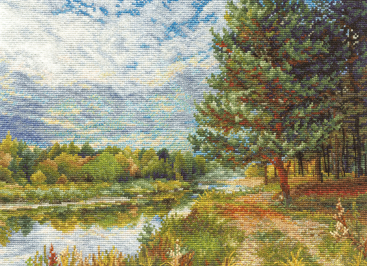 Сосна на берегу реки.