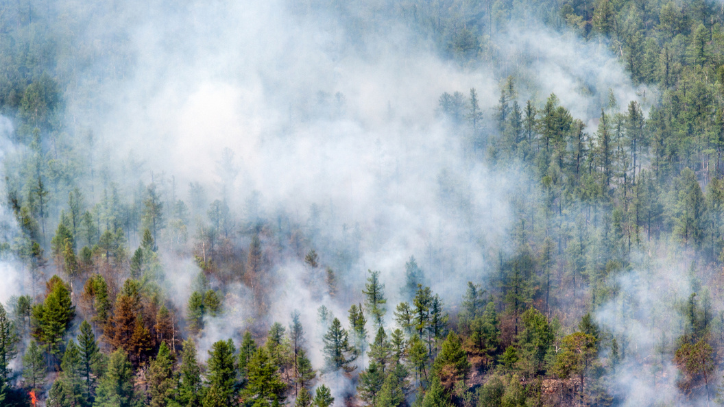    Serguei Fomine/Globallookpress