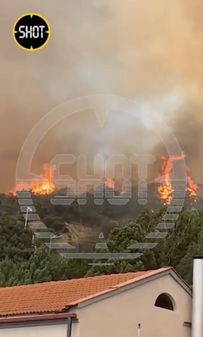    Скриншот: t.me/shot_shot