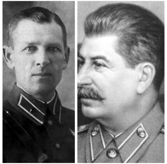 Как поступил Сталин с комбригом Виноградовым, чью дивизию окружили и уничтожили финны в январе 1940 года