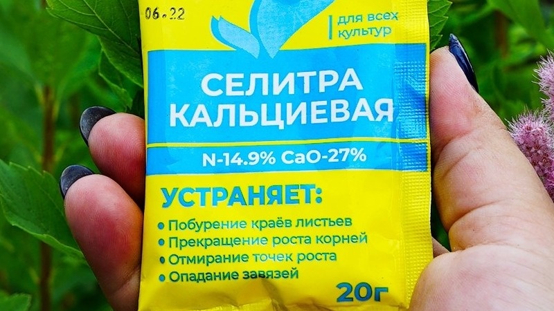 Раствор готовлю вот как: в ведре воды растворяю 1 ст. л. кальциевой селитры