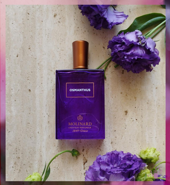 За фото спасибо, lysithea