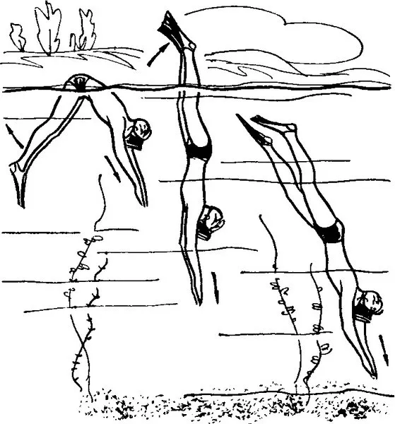 Просто схема как правильно нырять