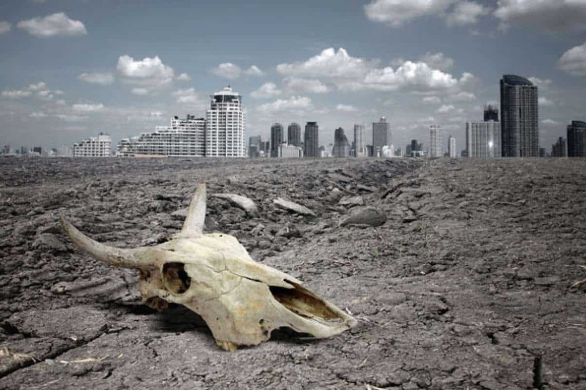 Добавьте описание.