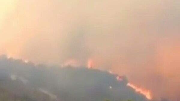    © Скриншот с видео очевидца